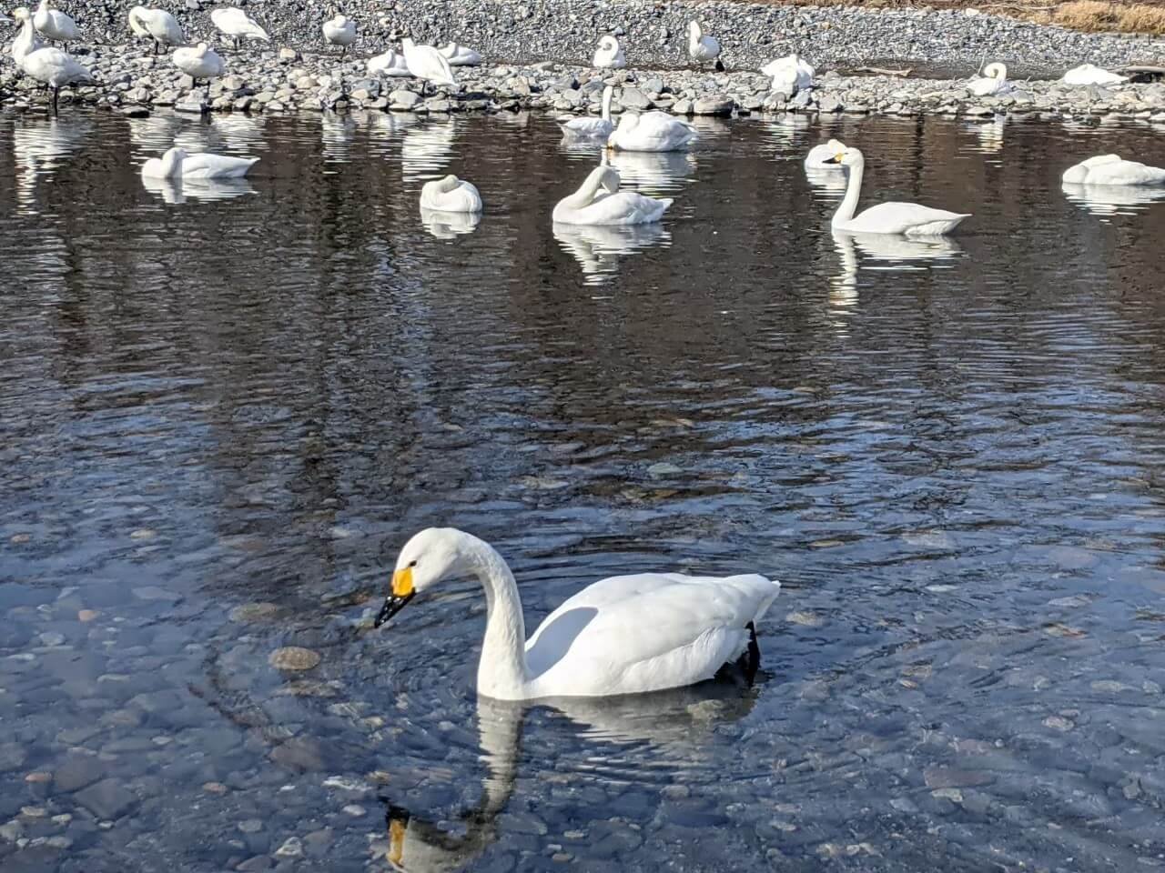 🏞️ 이지미노 공원 (이지미노코엔) 이미지 6